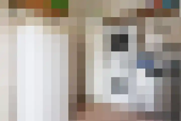 Schepsnavel 16 Franeker thumbnail 22