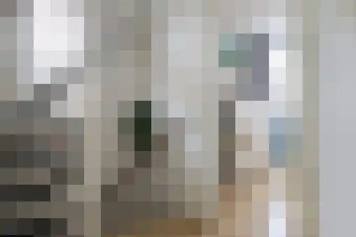 Schepsnavel 16 Franeker thumbnail 28