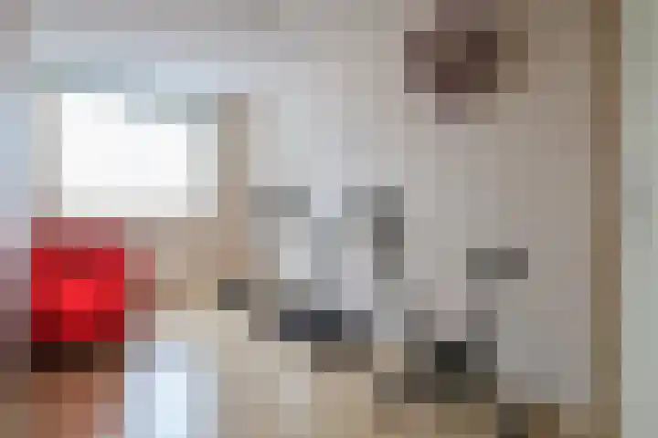 Schepsnavel 16 Franeker thumbnail 32