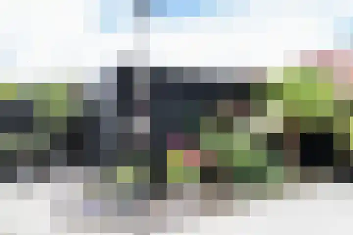 Schepsnavel 16 Franeker thumbnail 47