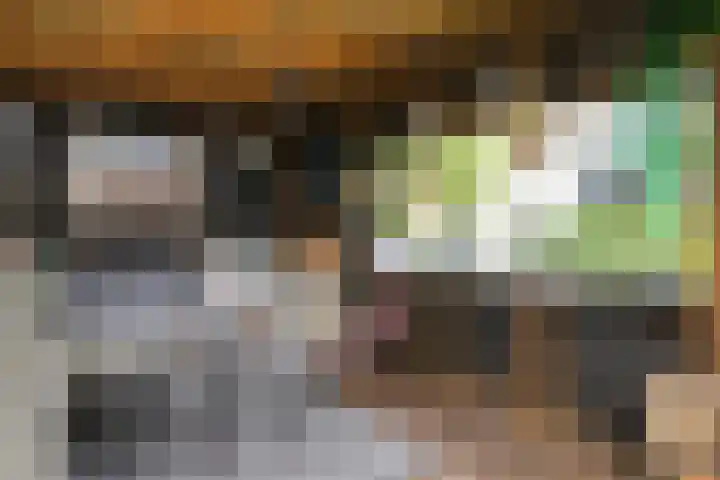 Schepsnavel 16 Franeker thumbnail 50
