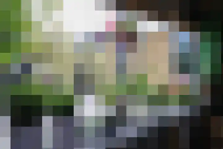 Schepsnavel 16 Franeker thumbnail 51