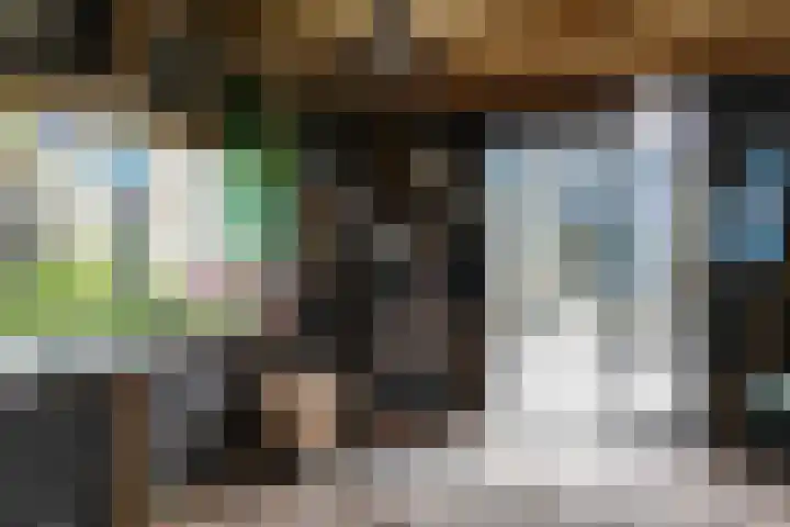 Schepsnavel 16 Franeker thumbnail 52