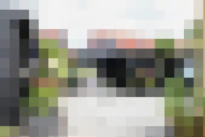 Schepsnavel 16 Franeker thumbnail 53