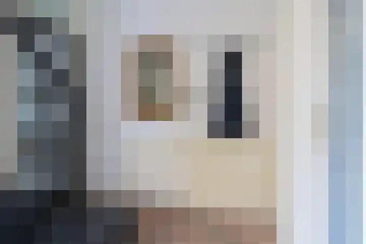 Schepsnavel 16 Franeker thumbnail 6