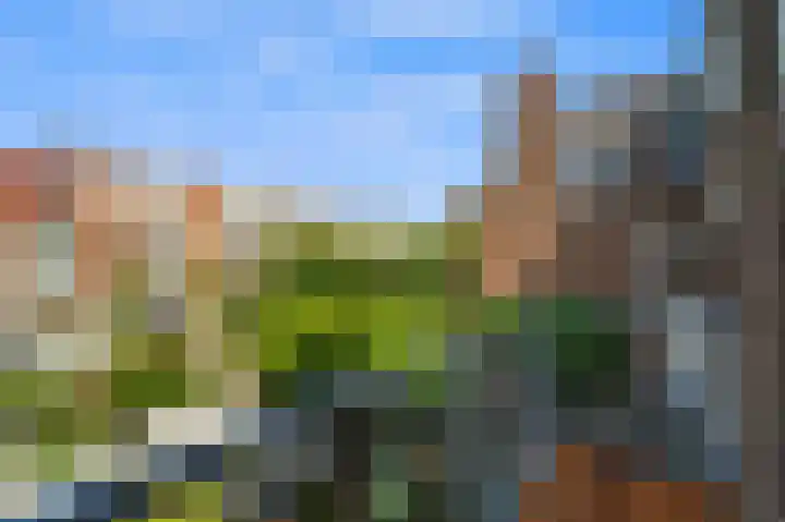 Schere 250 Rotterdam thumbnail 16