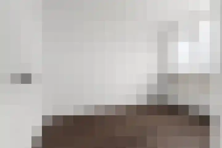 Schere 250 Rotterdam thumbnail 20