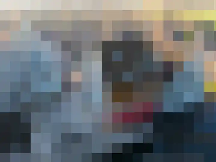 Schere 250 Rotterdam thumbnail 25