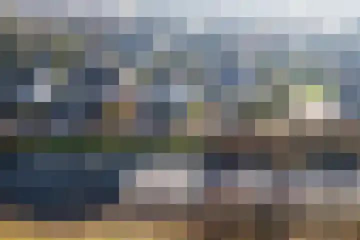 Schere 250 Rotterdam thumbnail 40