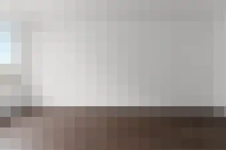 Schere 250 Rotterdam thumbnail 5