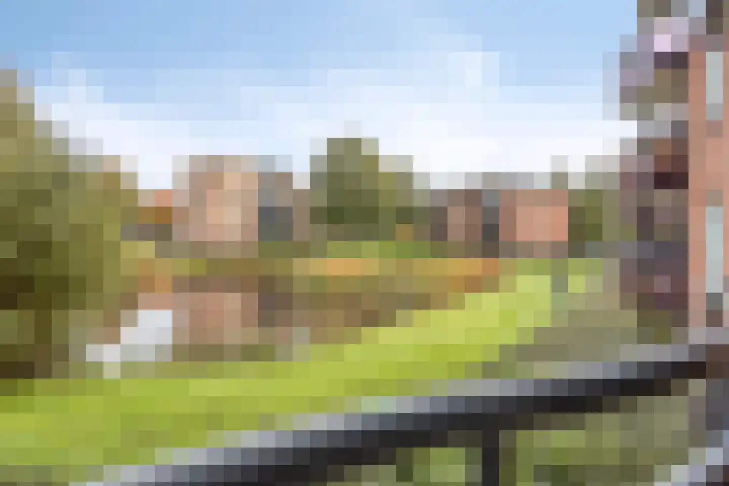 Schering 25 Wierden thumbnail 10