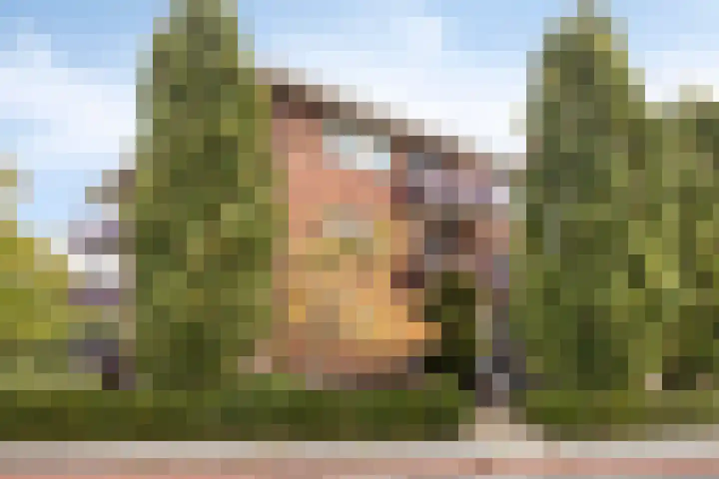Schering 25 Wierden thumbnail 25