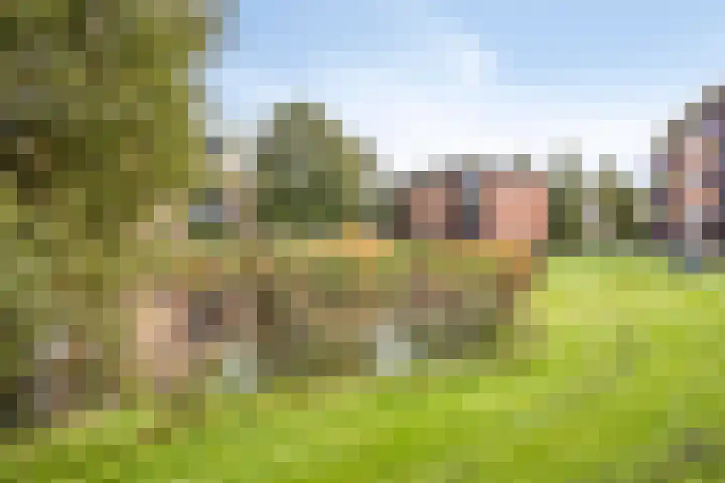 Schering 25 Wierden thumbnail 28