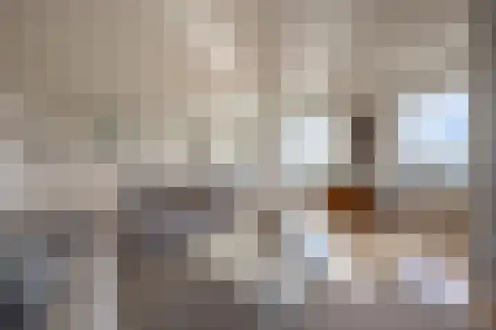 Scherm 14 Wormer thumbnail 11