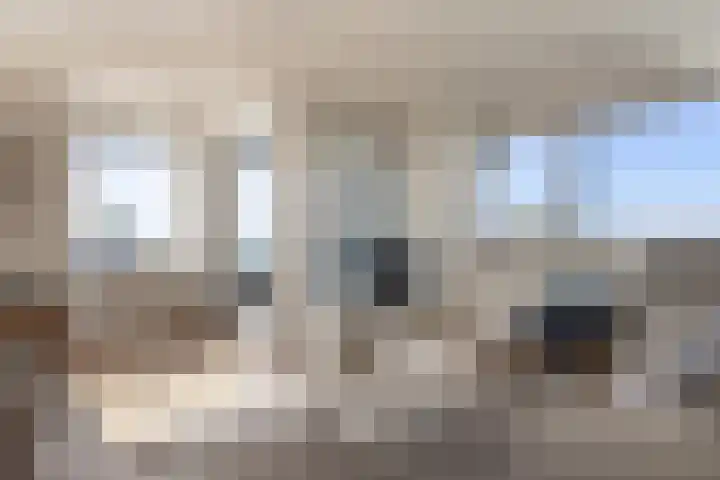 Scherm 14 Wormer thumbnail 12