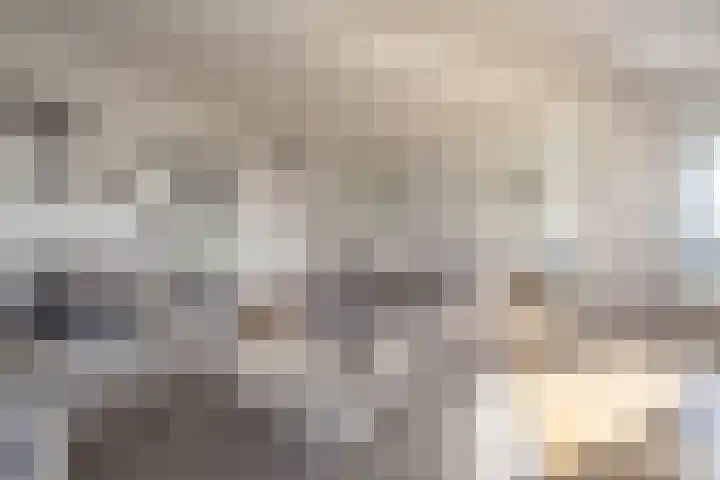 Scherm 14 Wormer thumbnail 5