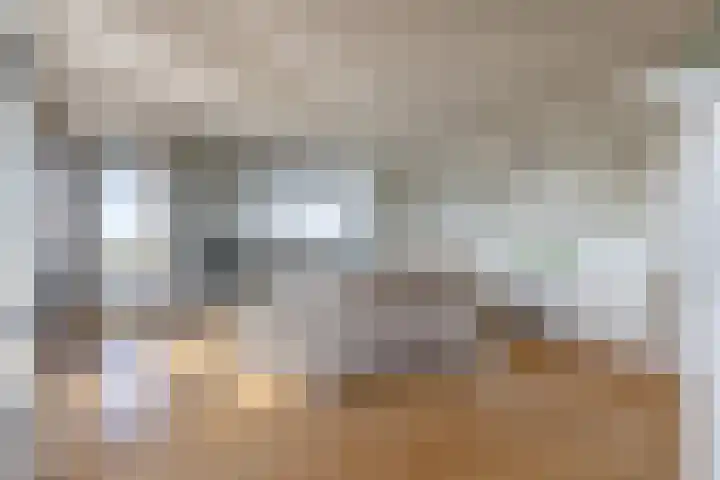 Scherm 14 Wormer thumbnail 6