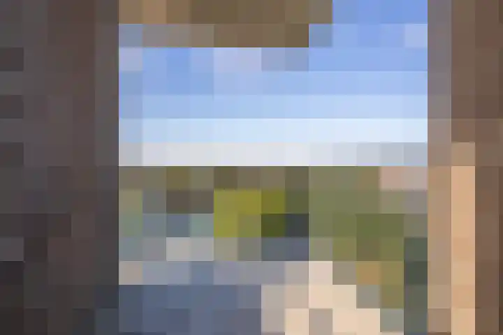 Scherm 14 Wormer thumbnail 7