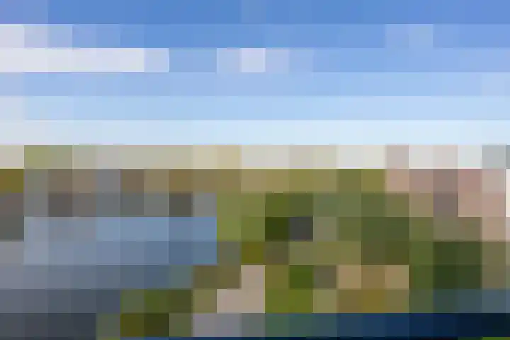 Scherm 14 Wormer thumbnail 8