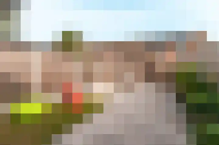 Schermer 41 Lelystad thumbnail 37