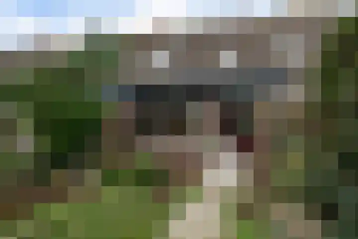 Schermer 83 Lelystad thumbnail 33