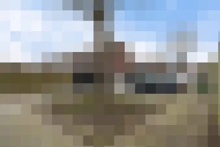 Schermer 83 Lelystad thumbnail 35