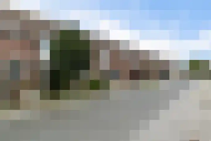 Schermer 83 Lelystad thumbnail 43