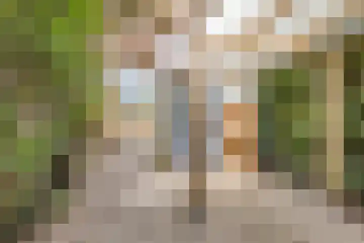 Schermhorst 70 Doetinchem thumbnail 33
