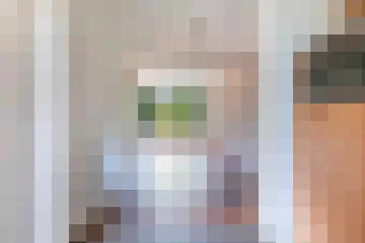Scherpenzeelseweg 50 Goor thumbnail 15