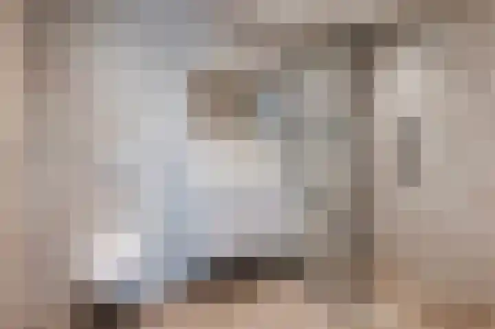 Scherpenzeelseweg 50 Goor thumbnail 24