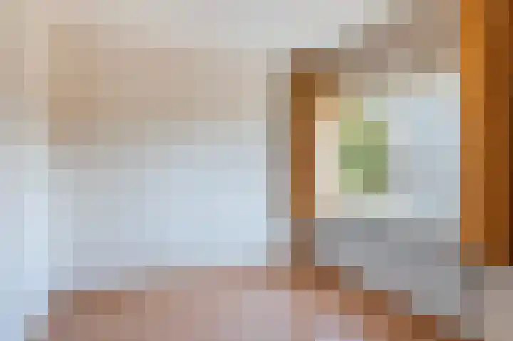Scherpenzeelseweg 50 Goor thumbnail 33