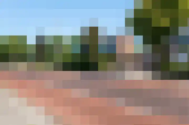 Scherpenzeelseweg 50 Goor thumbnail 37
