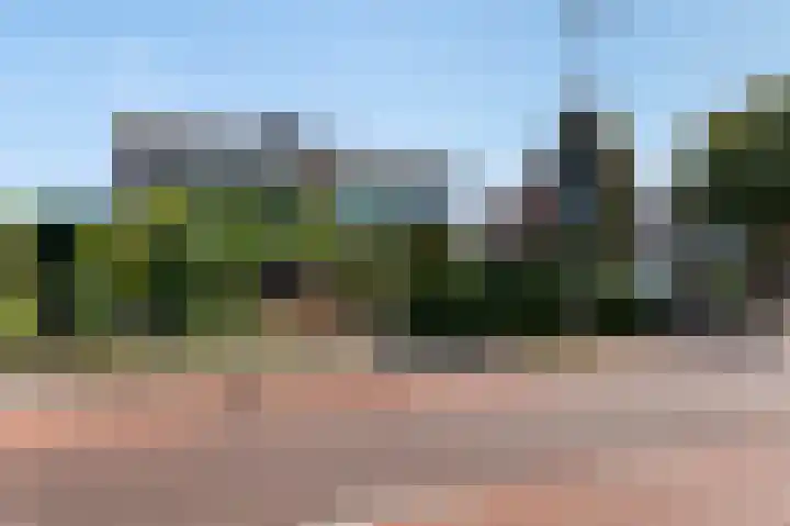 Scherpenzeelseweg 50 Goor thumbnail 38