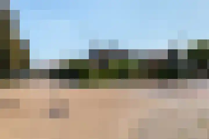 Scherpenzeelseweg 50 Goor thumbnail 39
