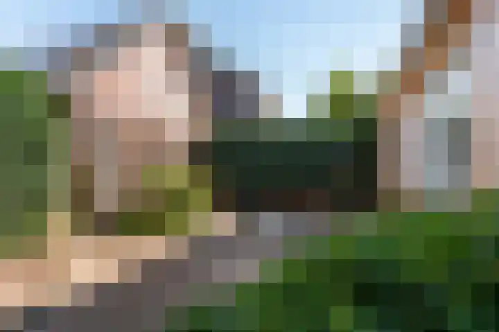 Scherpenzeelseweg 50 Goor thumbnail 5