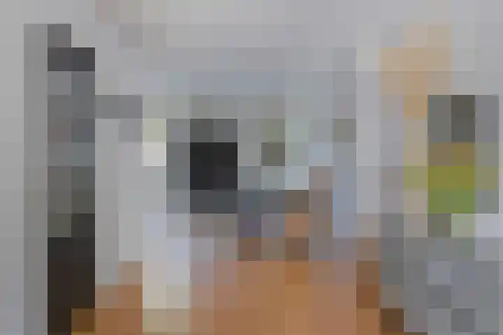 Scherpeweide 15 Duiven thumbnail 10