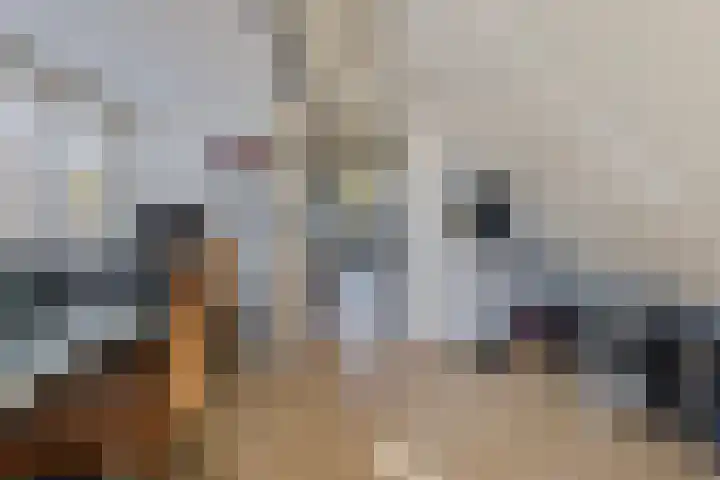 Scherpeweide 15 Duiven thumbnail 21