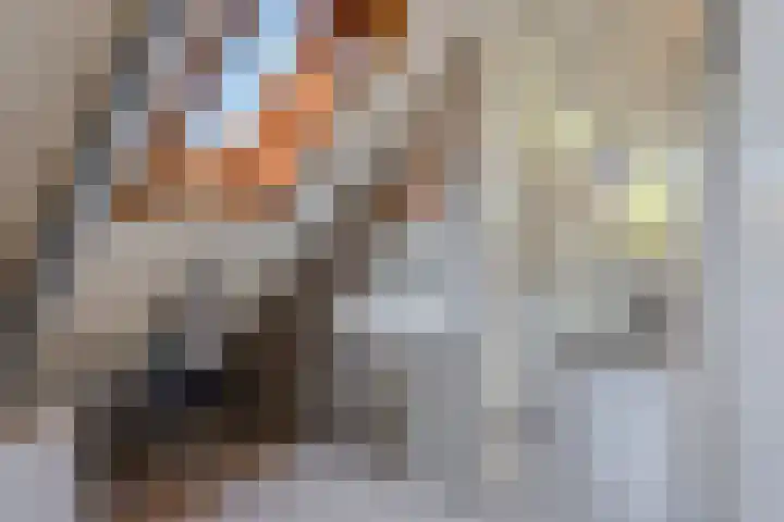 Scherpeweide 15 Duiven thumbnail 24