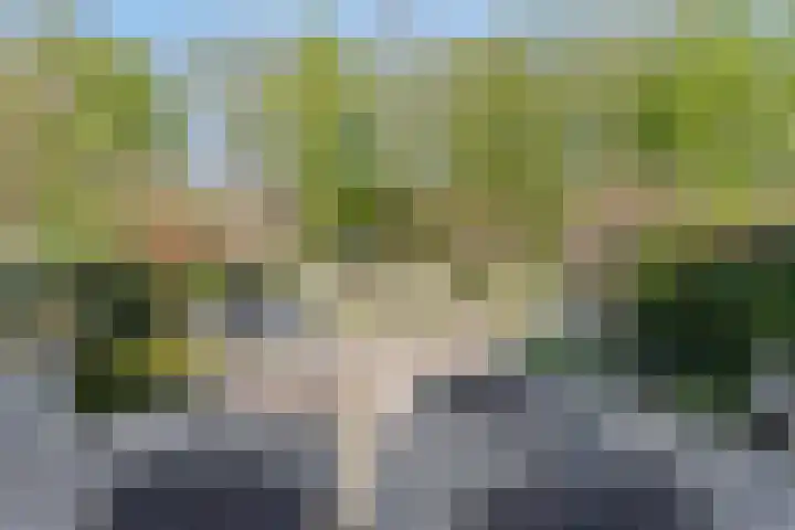 Scherpeweide 15 Duiven thumbnail 26