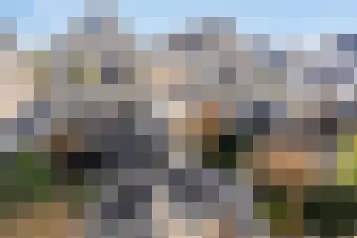 Scherpeweide 15 Duiven thumbnail 30