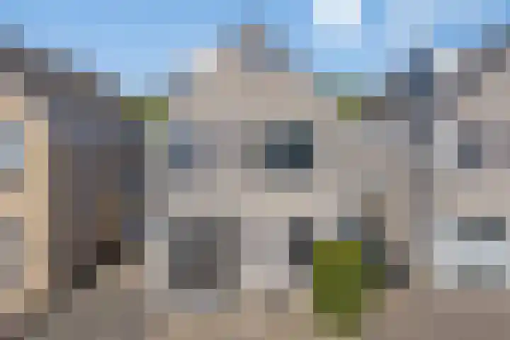 Scherpeweide 15 Duiven thumbnail 32