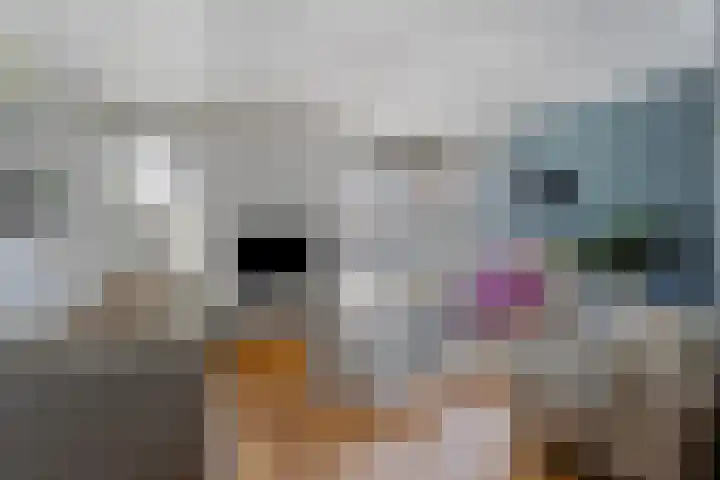 Scherpeweide 15 Duiven thumbnail 7