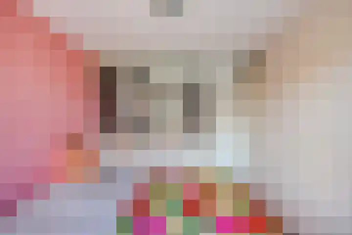 Scherpeweide 19 Duiven thumbnail 11