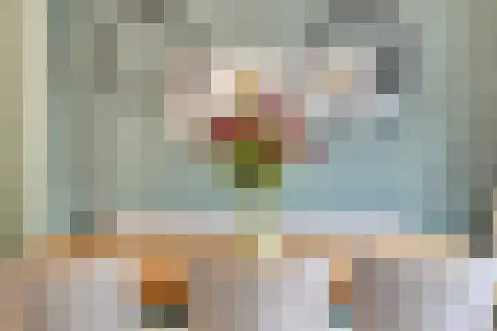 Scherpeweide 19 Duiven thumbnail 17