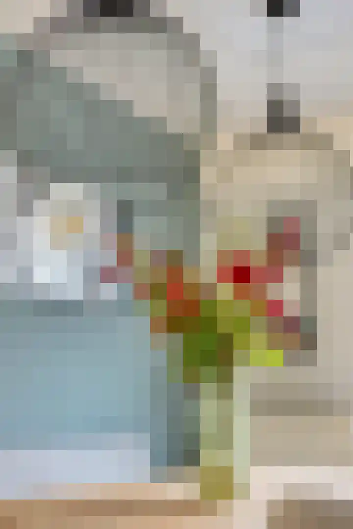 Scherpeweide 19 Duiven thumbnail 18