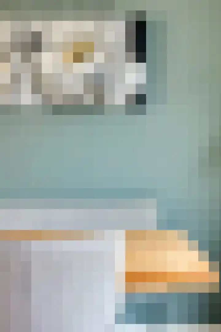 Scherpeweide 19 Duiven thumbnail 20