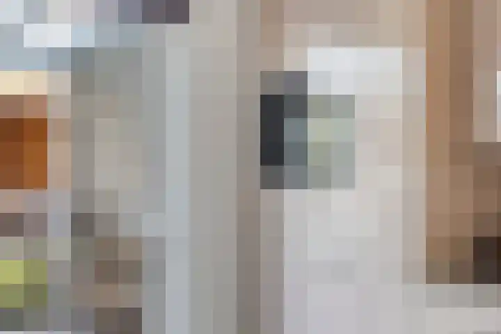 Scherpeweide 19 Duiven thumbnail 25
