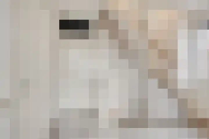 Scherpeweide 19 Duiven thumbnail 27