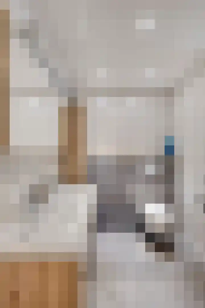 Scherpeweide 19 Duiven thumbnail 33
