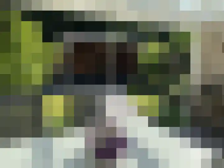 Scherpeweide 19 Duiven thumbnail 47
